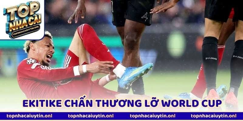 Ekitike Chấn Thương Lỡ World Cup - Chuyển Nhượng Rung Lắc